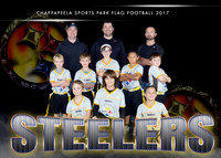 5X7 STEELERS TEAM 6-8