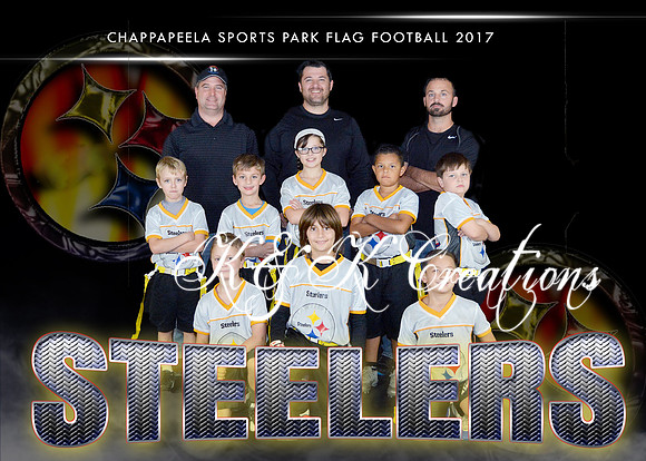 5X7 STEELERS TEAM 6-8