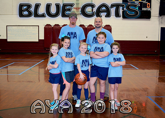 5x7 7-9 Girls #5 Blue Cats TEAM