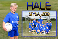 HALE VERBUG MEMORY MATE