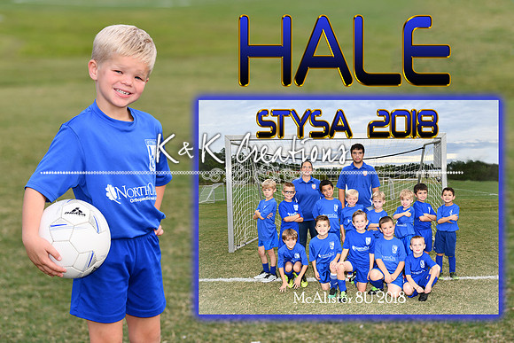 HALE VERBUG MEMORY MATE