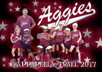 5x7 aggies tball team
