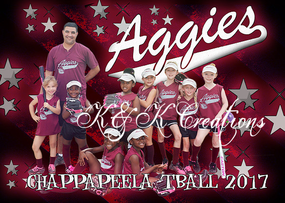 5x7 aggies tball team