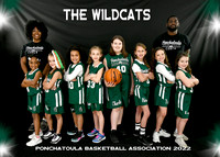 7-8 Girls WILDCATS - Coach  Daruis Palmer