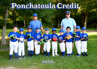 TBall Ponchatoula Credit