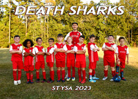 5X7 DEATH SHARKS TEAM