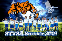 bearcats team photo_final