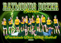 RAYMONDS DOZER 9-10G TEAM