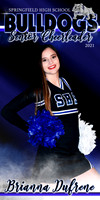Springfield High Cheer 2020 Senior Banners
