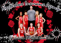Northshore Insurance Agency 9-11 Girls