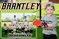 BRRANTLEY TEDESCO MM
