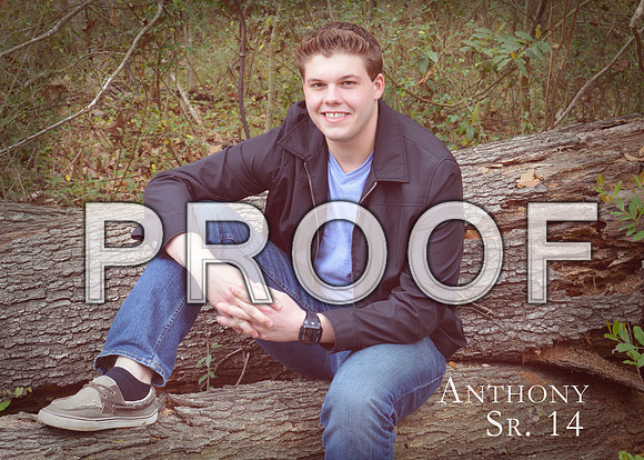 KRS_Vic_anthony_281