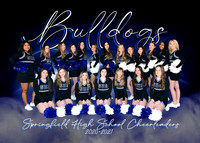 Springfield High Cheer 2020