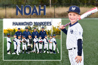 NOAH ALBARADO MEM MATE