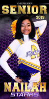 nailah starks banner