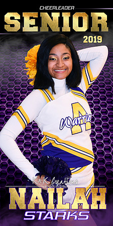 nailah starks banner
