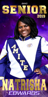 natrisha edwards banner