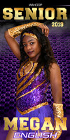Amite High Cheer, Dance, Band Banners