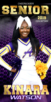 kinara watson banner