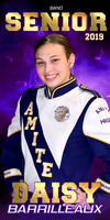 daisy barrilleaux banner