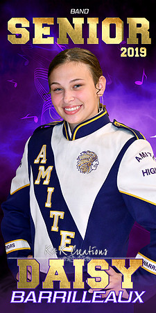 daisy barrilleaux banner