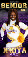 nkiya ard banner