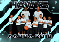 HAWKS