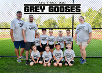 GREY GOOSES