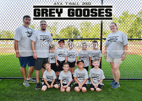 5X7 GREY GOOSES TEAM