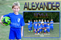 ALEXANDER WADE MEMORY MATE