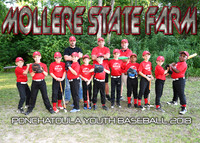 5x7 7-8B Mollere State Farm Team