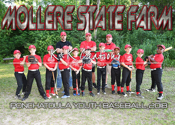 5x7 7-8B Mollere State Farm Team