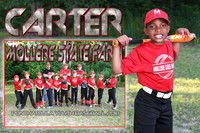carter cowart memory mate
