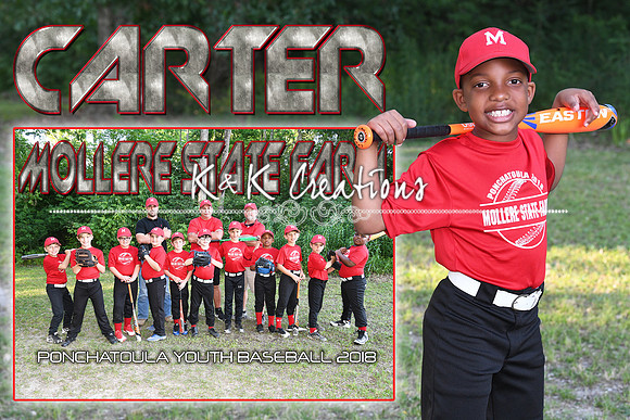 carter cowart memory mate