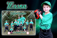 Mason Hawkes Memory Mate