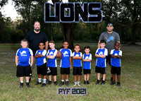 LIONS