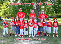 5x7 strawberry castle tooteam