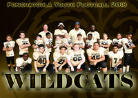 5X7 PYF WILDCATS TEAM