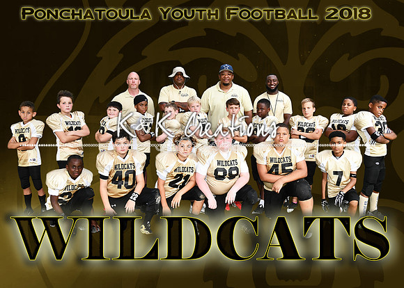 5X7 PYF WILDCATS TEAM