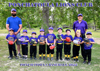 TBall Ponchatoula Lions Club