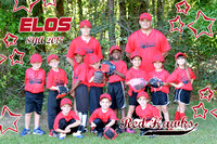 Red Hawks - TBALL
