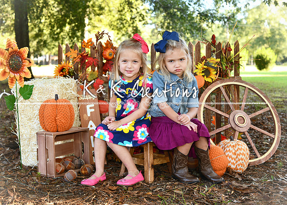 JESSA AND RHYNN MEADES_3420