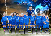 5x7 5U WHITE TIGERS stysa team