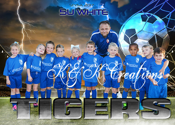5x7 5U WHITE TIGERS stysa team