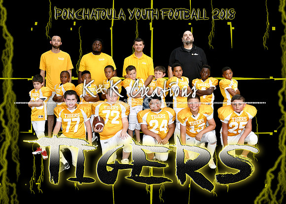 5x7 PYF TIGERS FOOTBALL TEAM