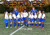 Destroyers Steve Johnson