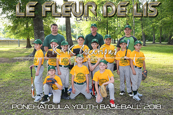 8x12  9-10b Le Fleur De Lis TEAM