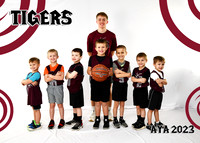 5X7 TIGERS B4-6 AIDAN TEAM