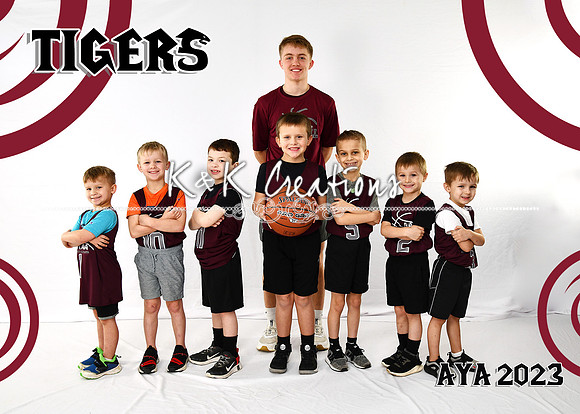 5X7 TIGERS B4-6 AIDAN TEAM
