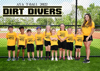 DIRT DIVERS